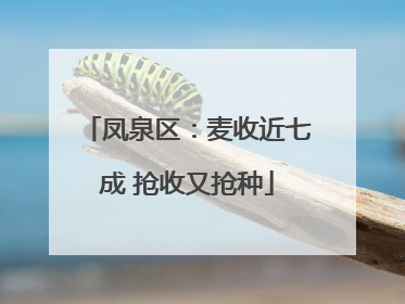 凤泉区：麦收近七成 抢收又抢种